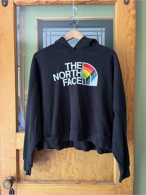 The North Face Black Pullover Hoodie with Multicolor Logo